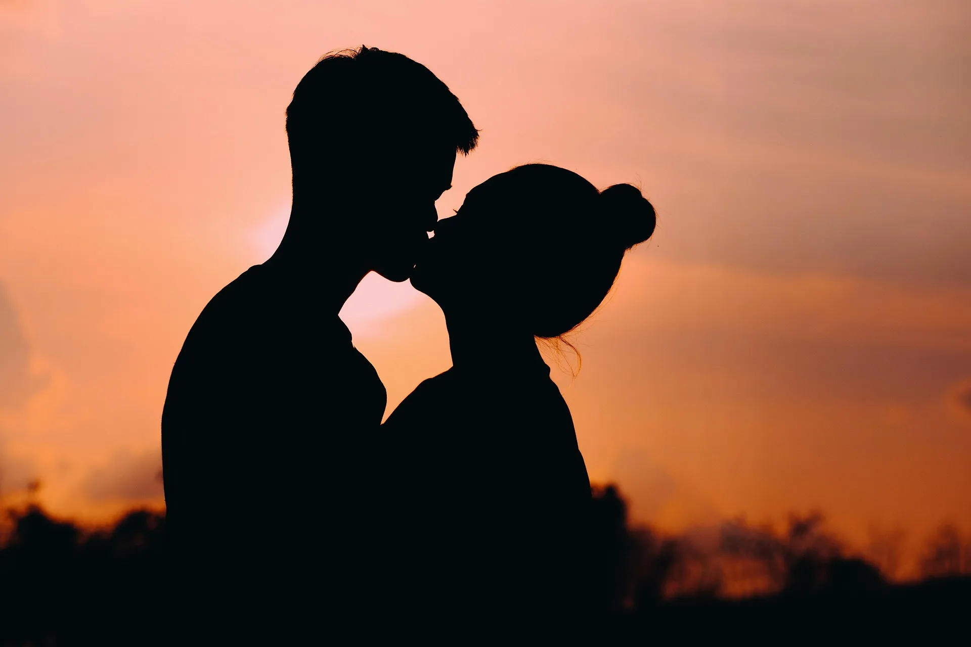 Greyhouse jupilu couple 6615590 1920 1920x1280 fekvo